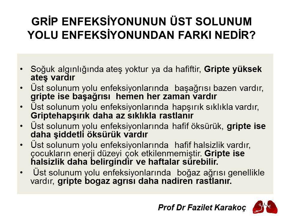Prof. Dr. Fazilet Karakoç Sık Sorulan Sorular